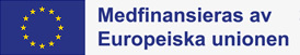 UE logo